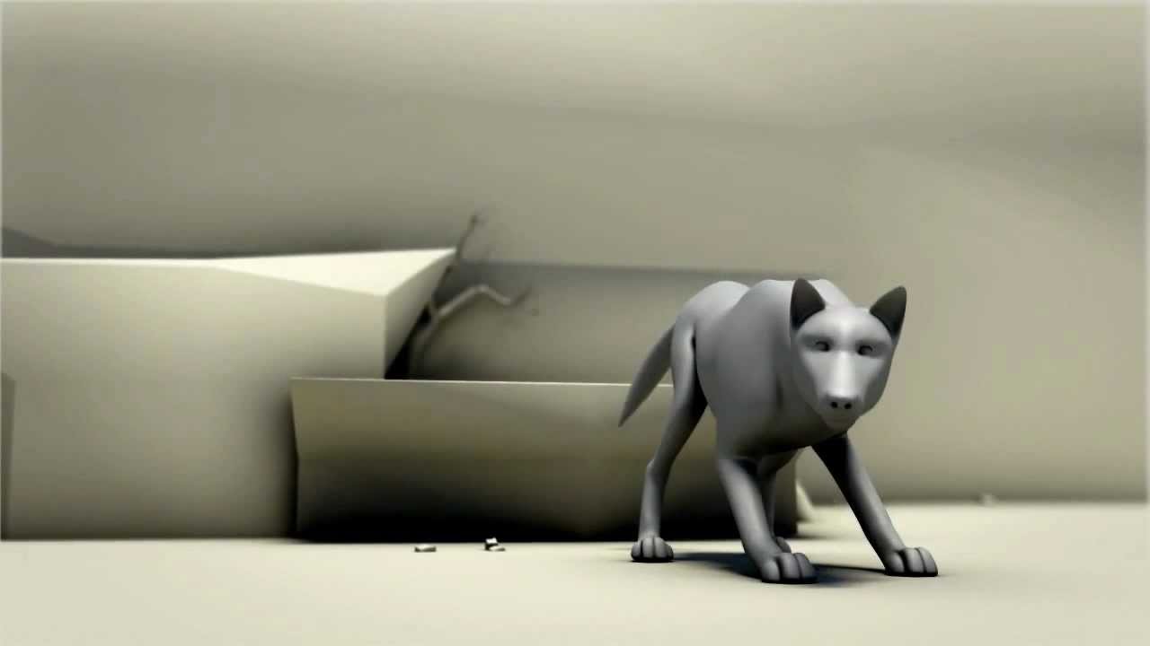 Wild Dog / wolf 3D animation