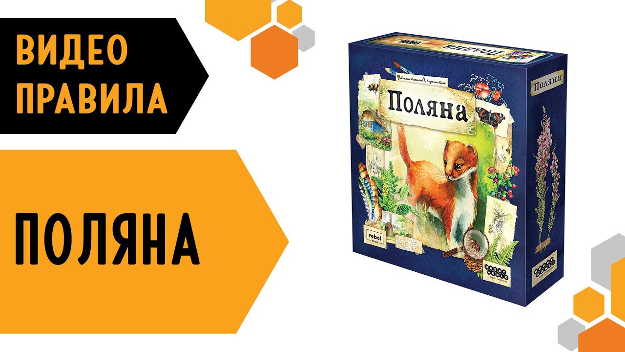 ПОЛЯНА — Видео правила настольной игры 🌲🌿🦔