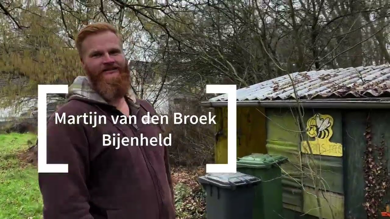 De verdwijnziekte... dode bijenvolken.