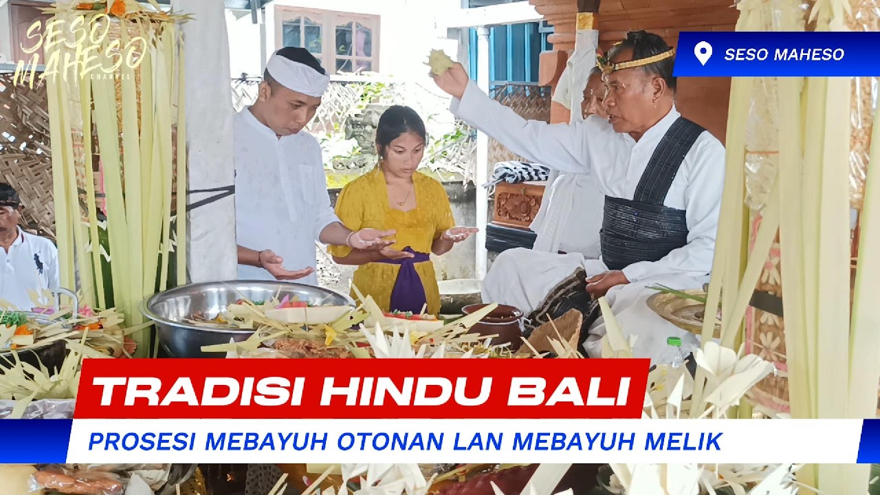 TRADISI HINDU BALI PROSESI MEBAYUH OTONAN LAN MEBAYUH MELIK #hindunusantara #spiritual #tradisibali