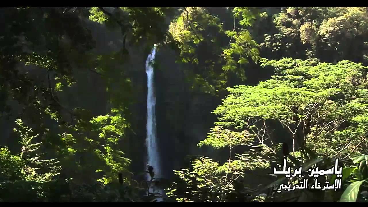 الإسترخاء التدريجي