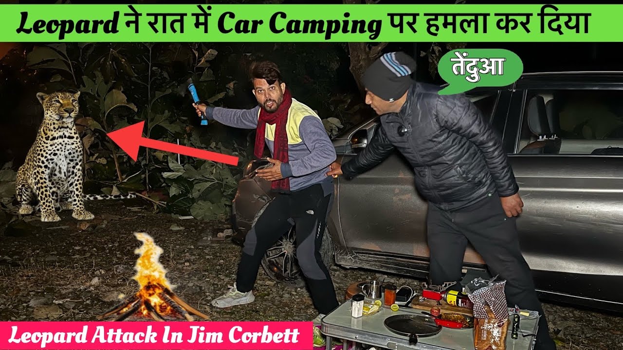 Night Camping In Forest of Jim Corbett National Park | Durga Devi Gate camping #ep 2