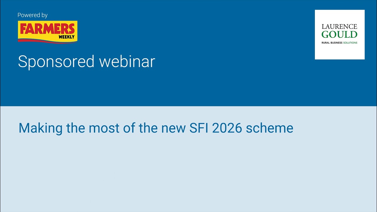 Как максимально эффективно использовать новую программу SFI 2026