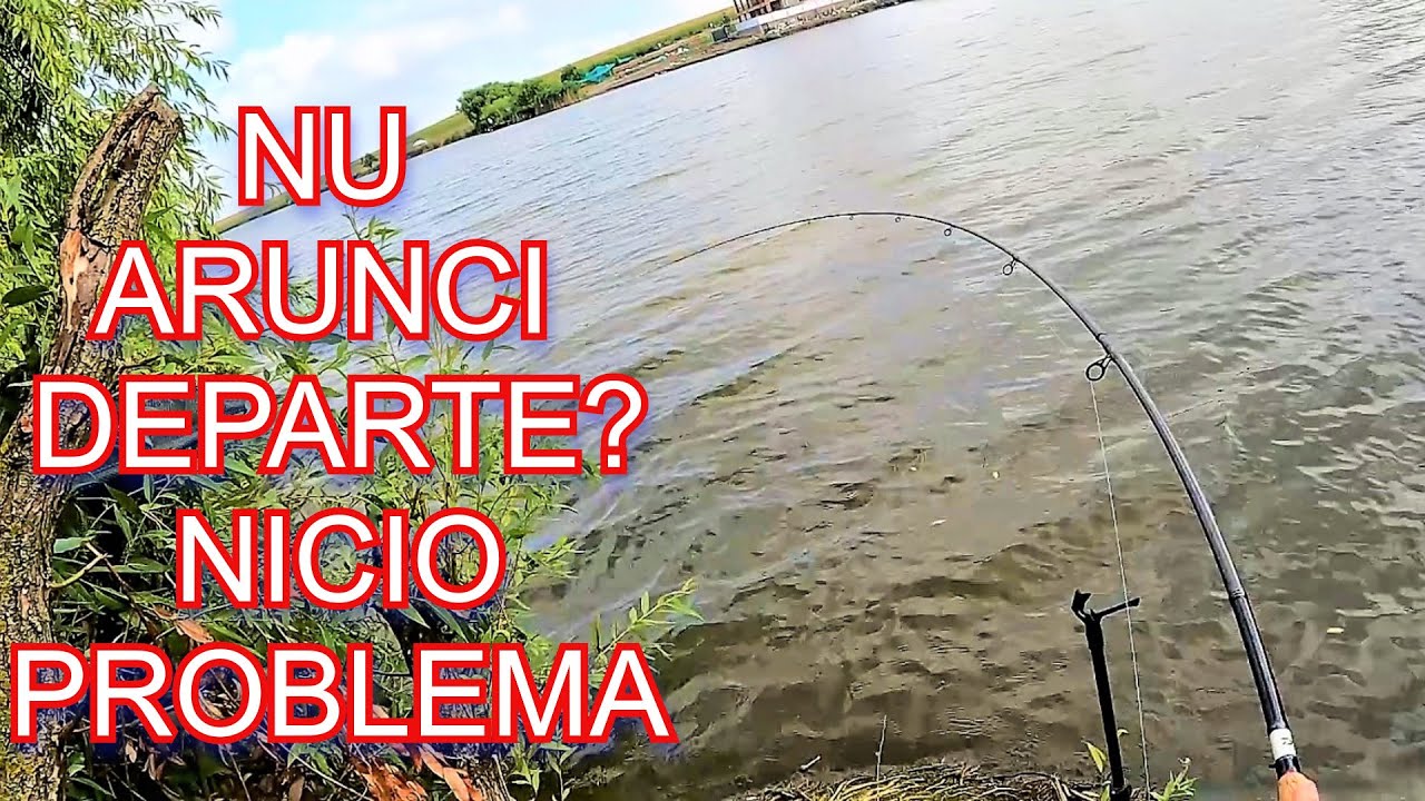 Cum Pescuim EFICIENT pe Distante Mici la Feeder! Pescuit la Balta Ileana Naipu