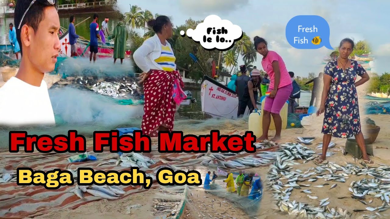 Fresh Fish 🐠 Market Baga Beach 🏖️ || Fishary Boat Baga, GOA || Dwitun Basumatary