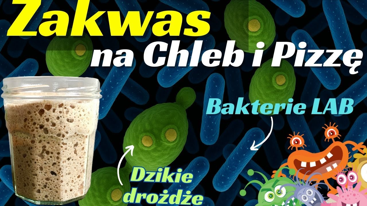 Prawdziwy smak chleba zaczyna się od zakwasu – a nie od drożdży!  👉Prawda czy mit?