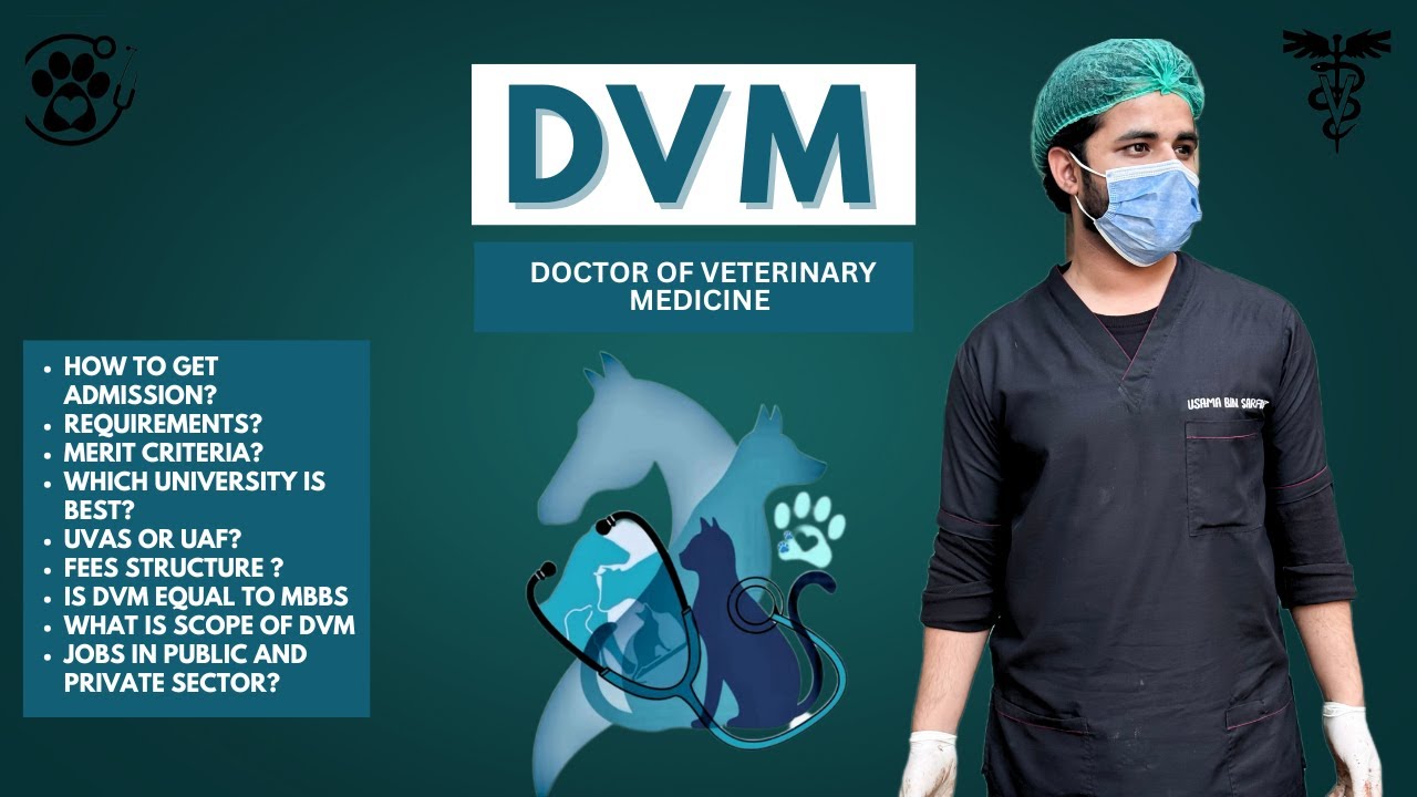 DVM(Doctor of Veterinary Medicine) Admission Guideline.What is DVM?UAF or UVAS? Merit?Fee?Scope?
