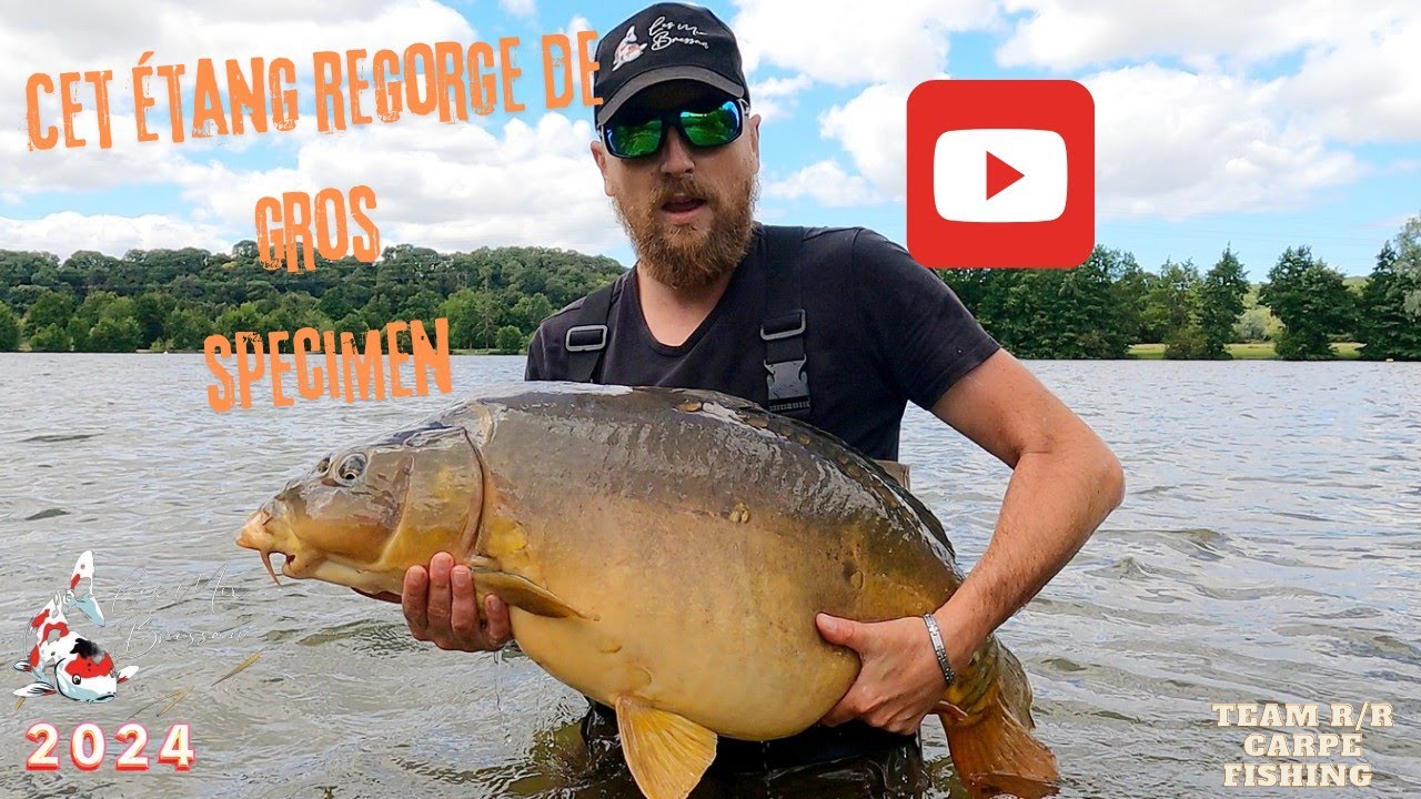 Pêche à la carpe // Cet étang regorge de gros specimen  ♥️🤤//