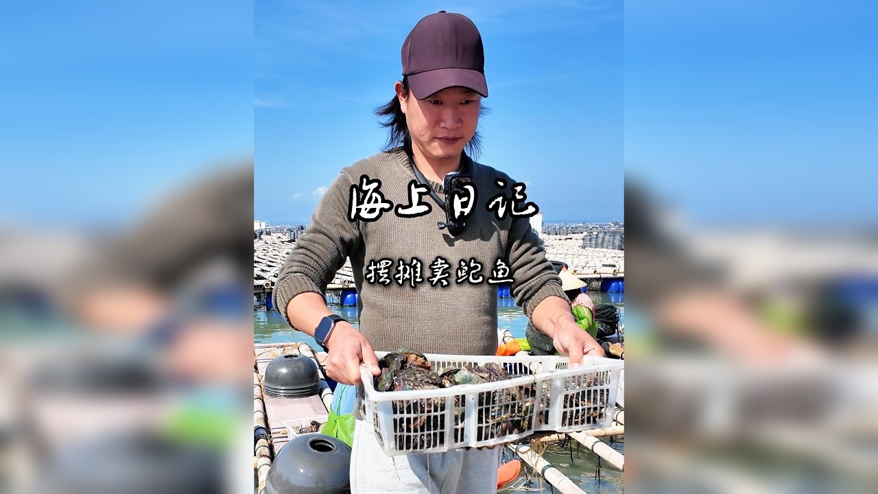 今天不卖鱼，去我叔那拿点鲍鱼卖。一百斤都卖不完又怎样，小生意也有大奔头，努力就有希望。