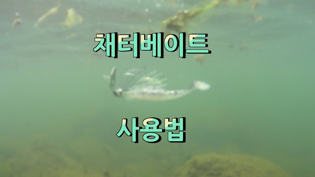 채터베이트 기본 설명
