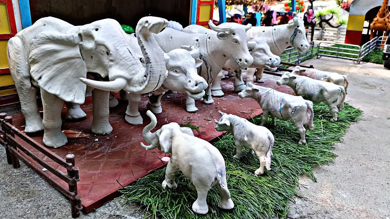 Proses❗ Mencocokkan Kepala Sapi Kurban & Sapi Lucu Melahirkan cesar / Simulasi Potong Sapi Kurban.