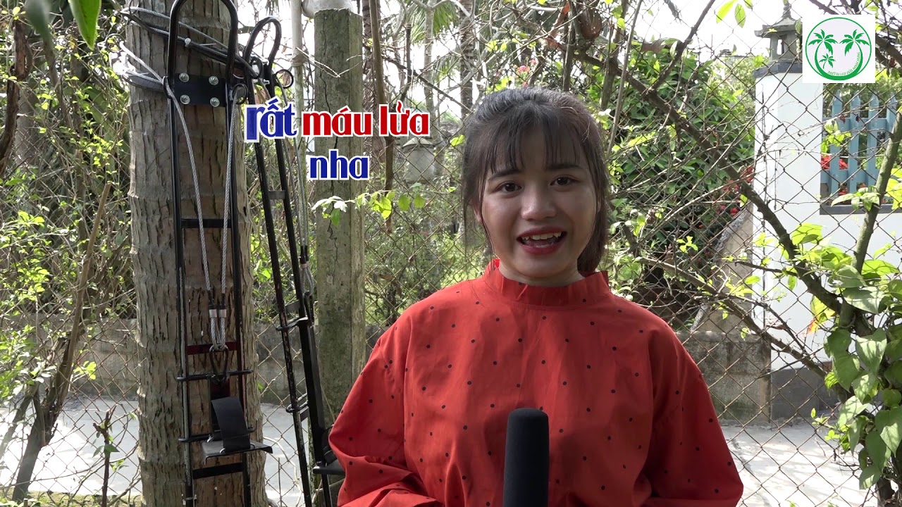 Máy leo dừa - hái dừa, trèo cột điện giờ không còn khó
