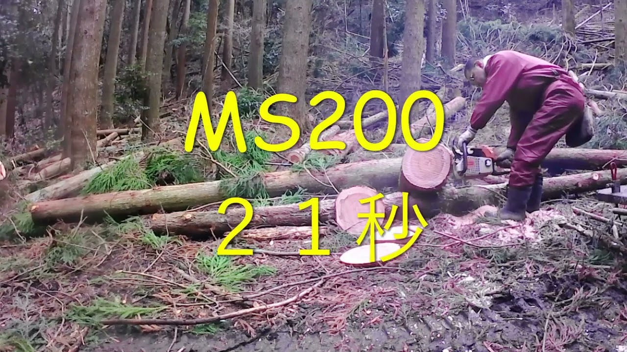 MS200とMS240と０２４、０２６でタイムアタックしてみた。