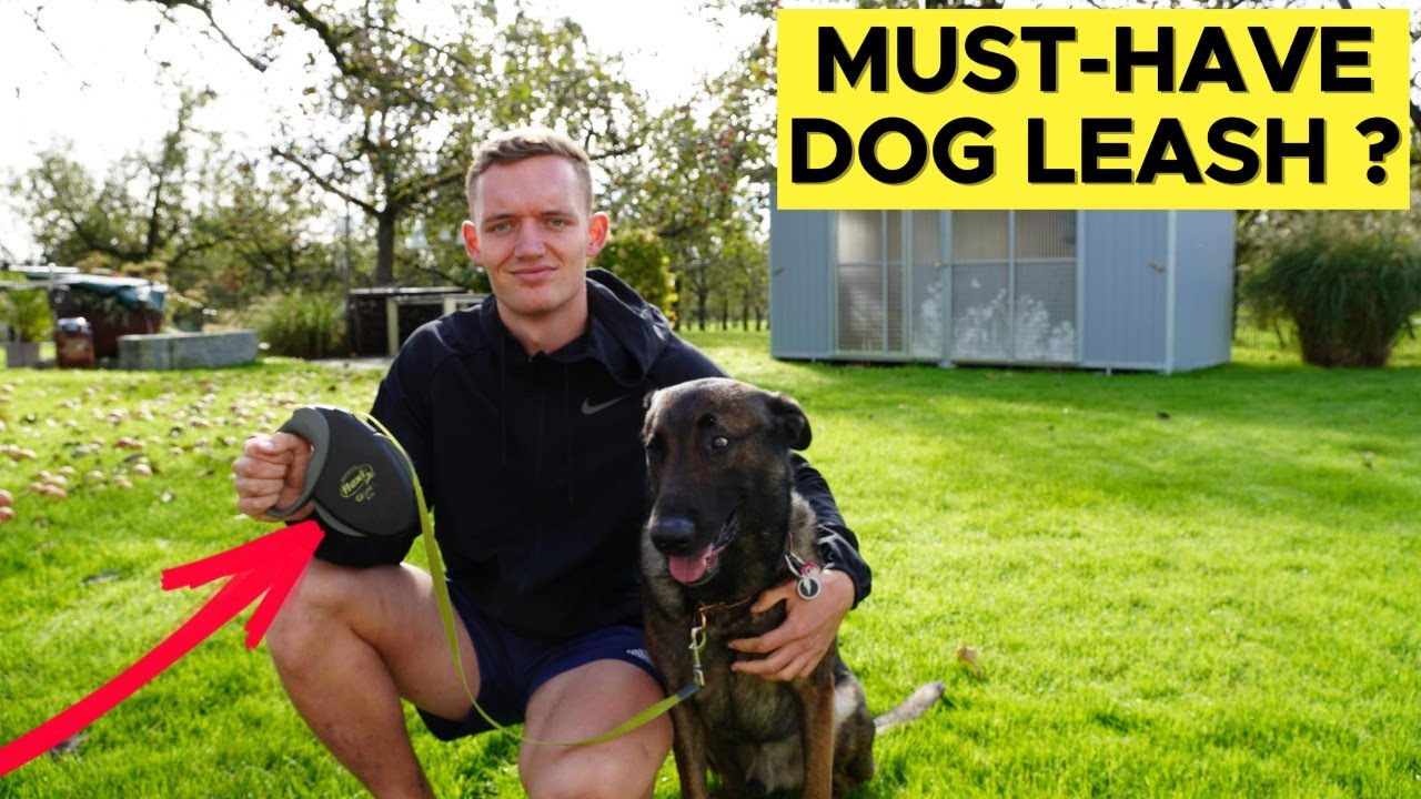 Honest 2-Year Review: FLEXI Giant Retractable Dog Leash