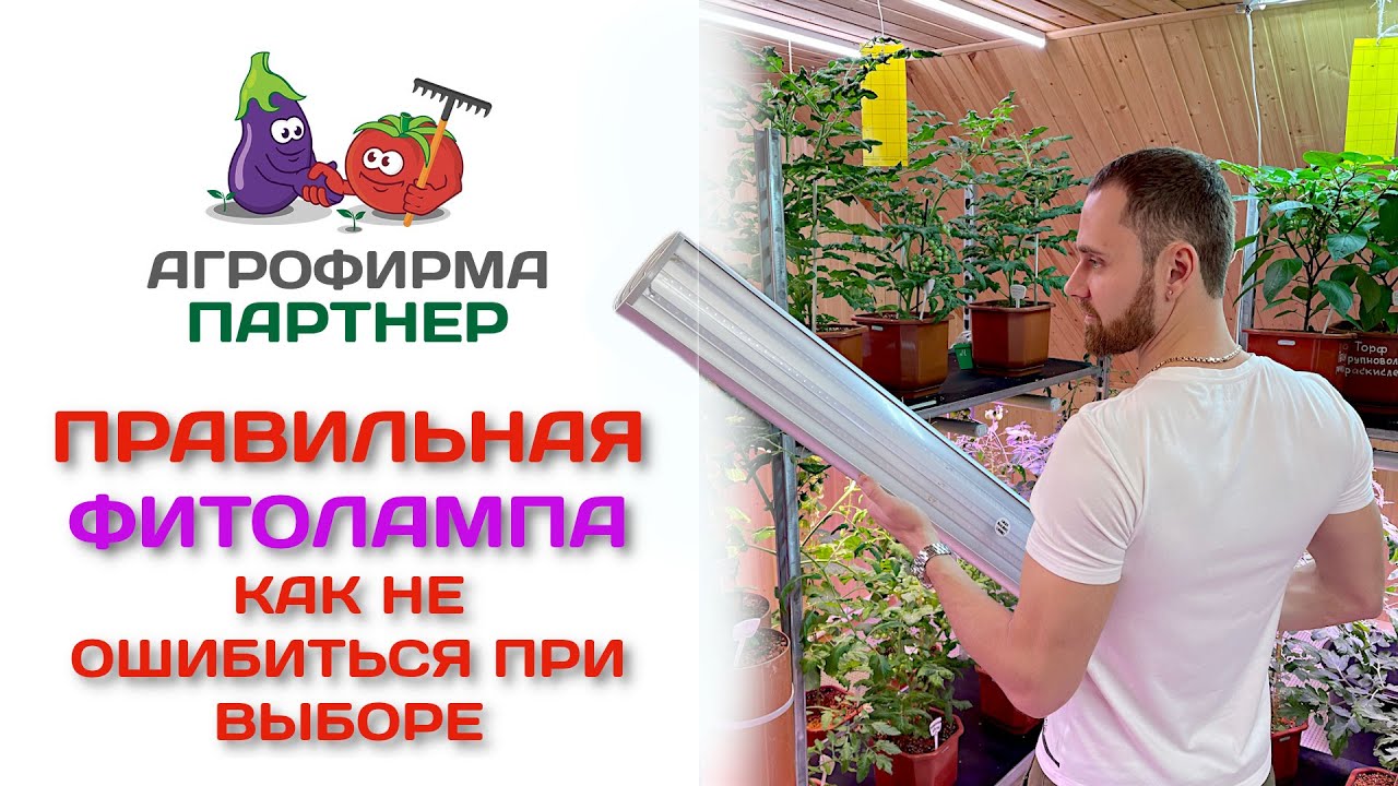Правильная фитолампа. Как не ошибиться при выборе