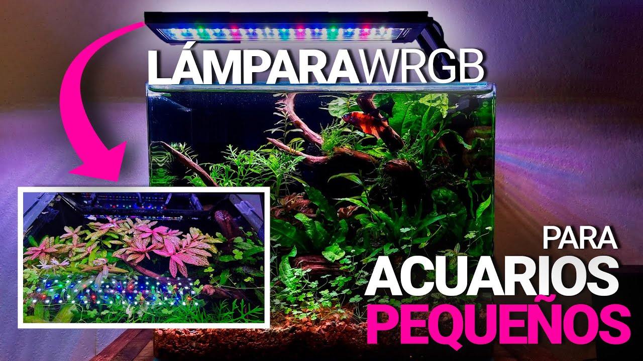 Una LÁMPARA ideal para ACUARIOS PEQUEÑOS (BARATA)