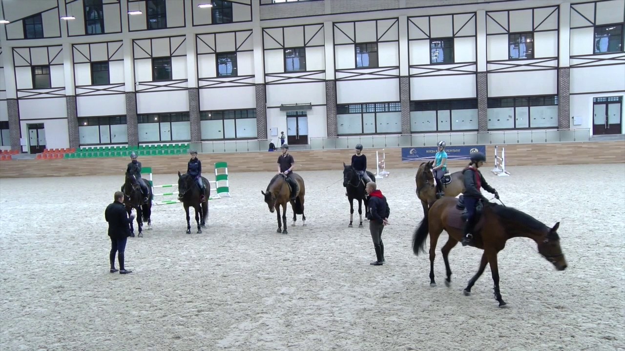 Видеоурок программы 