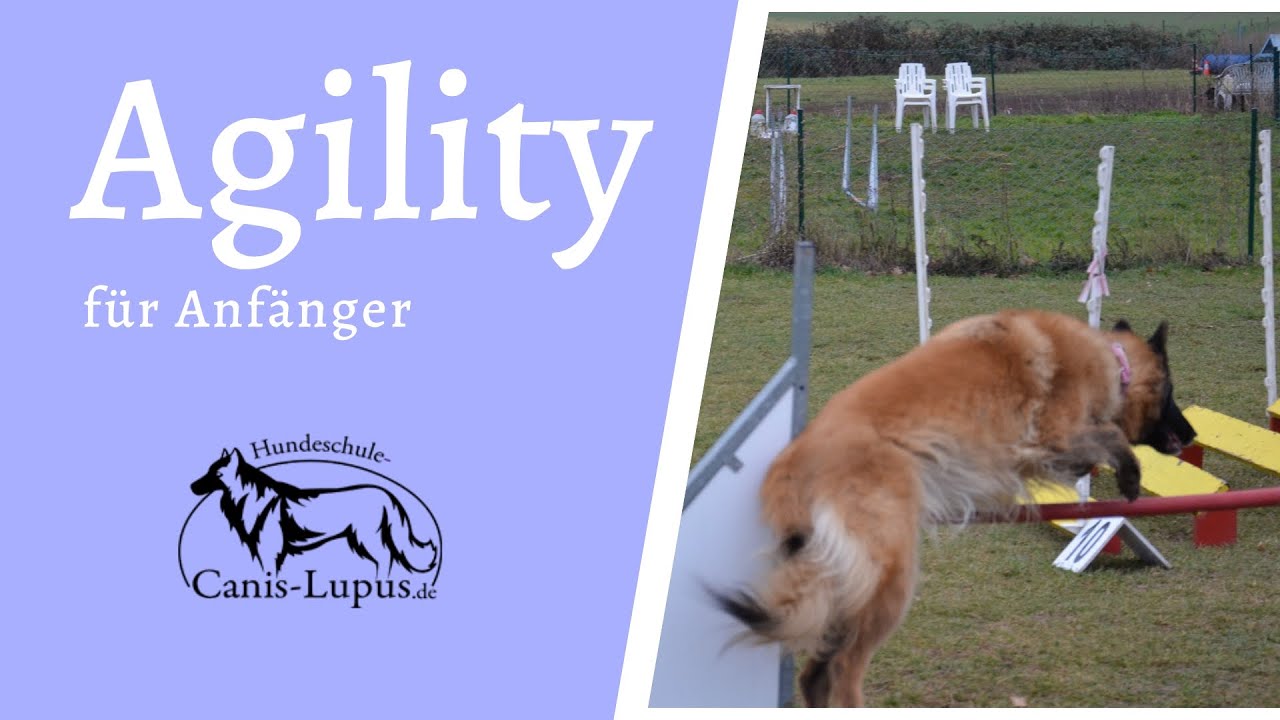 Agility 