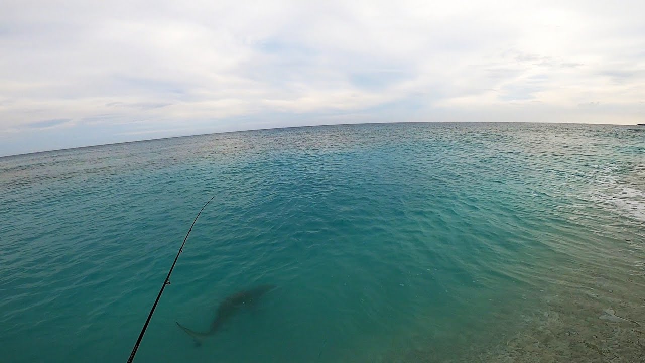 PATING! Apat Na Beses Lumapit Sakin | Shore Fishing | Palawan Philippines