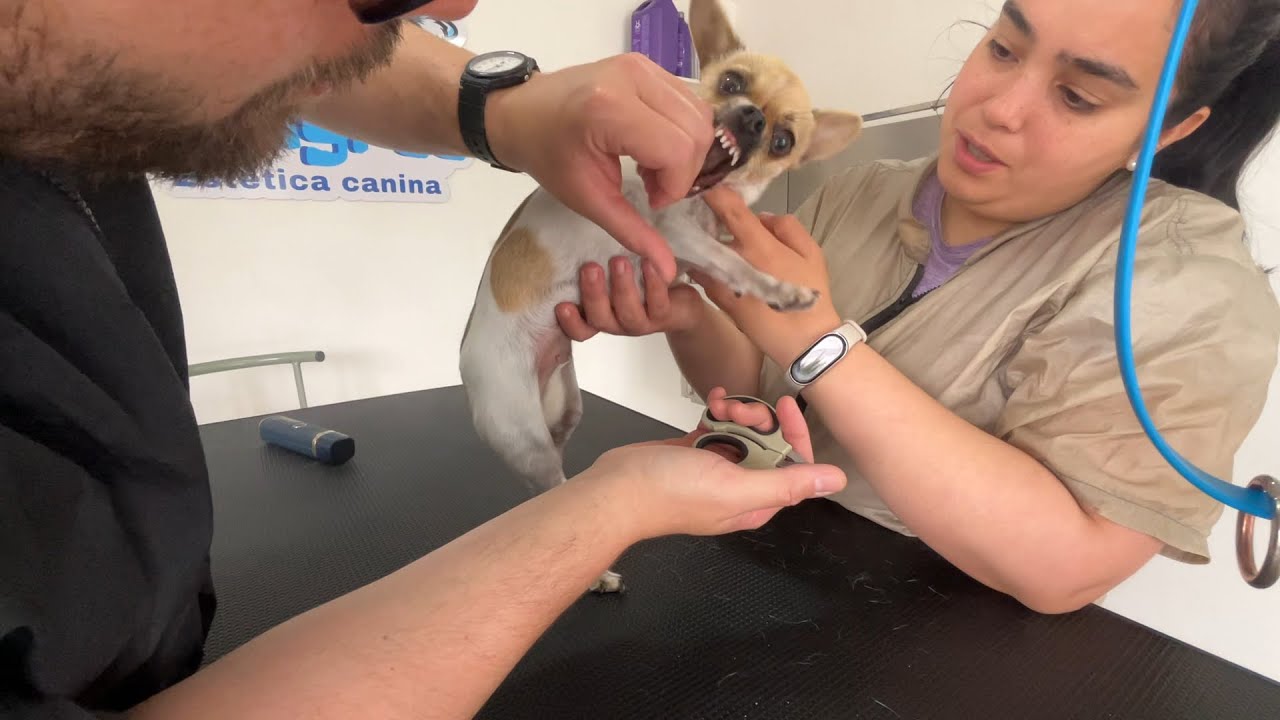 Uñas Extremas y una Sorpresa en el Cuello