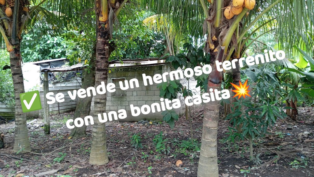 ✅Bonito terrenito de 14x85 con una bonita casita🚨💥 cerca de nueva concepción Escuintla🇬🇹🚨