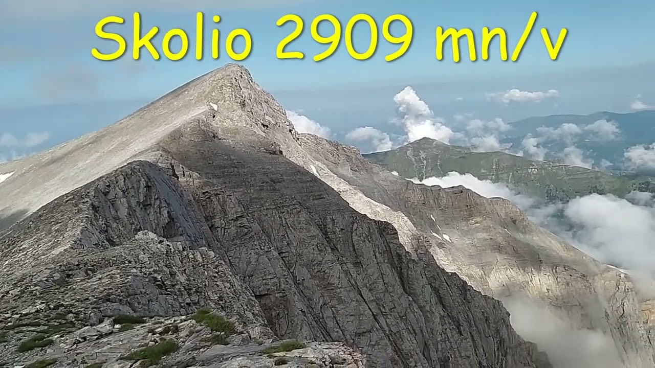 Skala -  Skolio