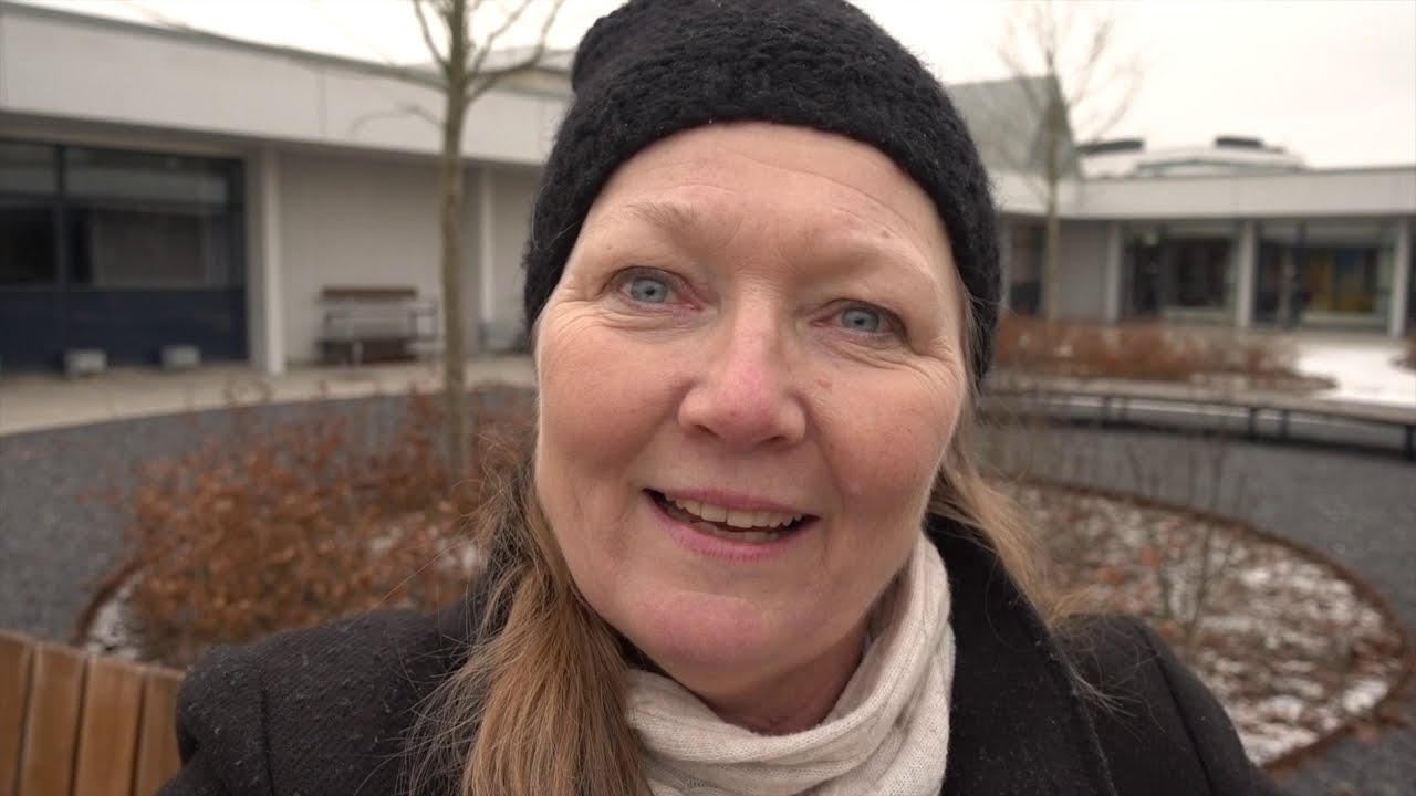 plenum 3  februar 2021