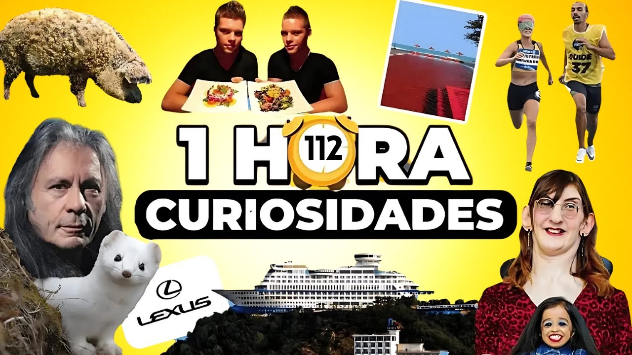 1 HORA De DATOS CURIOSOS y CURIOSIDADES FASCINANTES😲