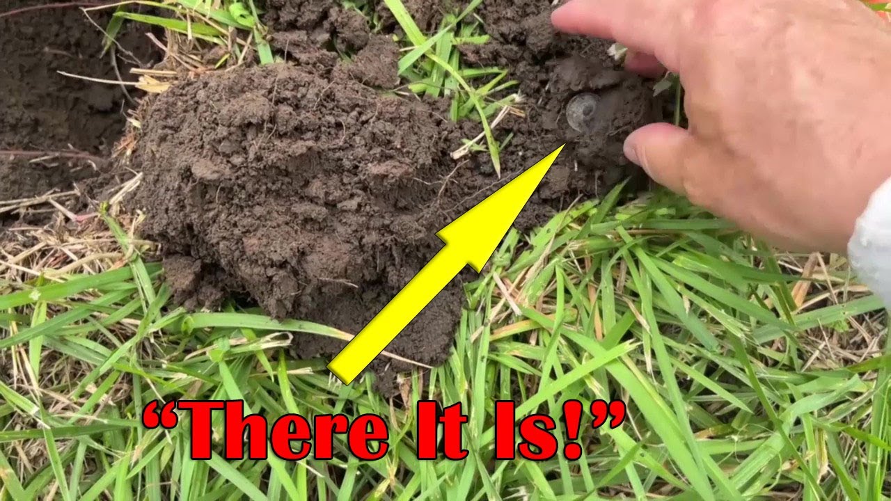 Metal Detecting Silver Coins & Relics - 