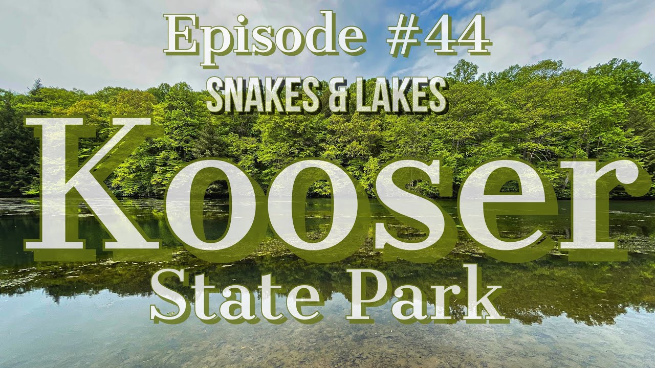 Kooser State Park. Exploring Kooser Lake, Crazy Wildlife Encounters and more. State Park #12.