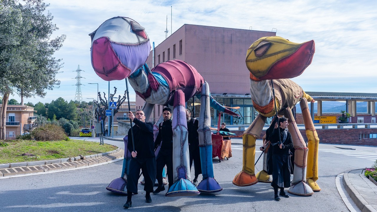 Carnestoltes infantil 2026