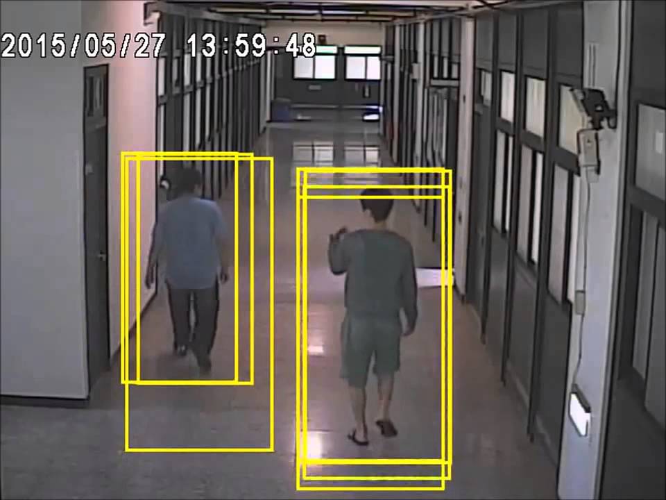 An Embedded Real-Time Human Detector Integrated with HW/SW Co-Design