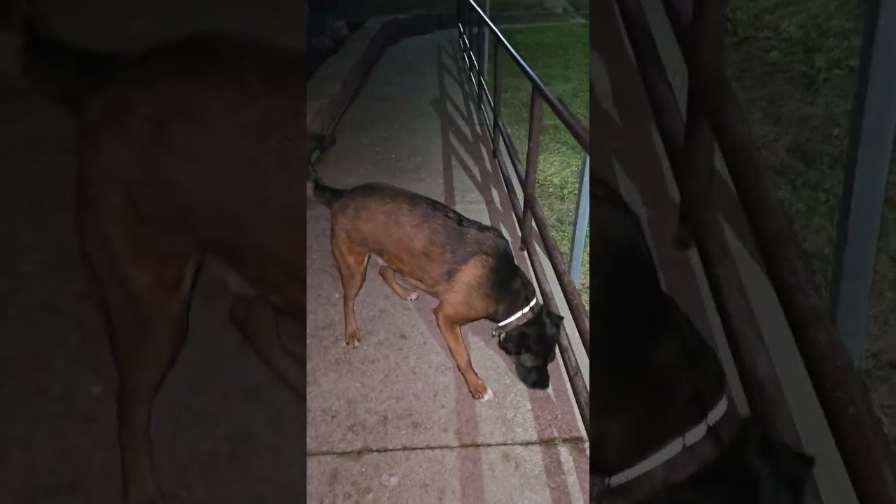 Spring Weather Almost !