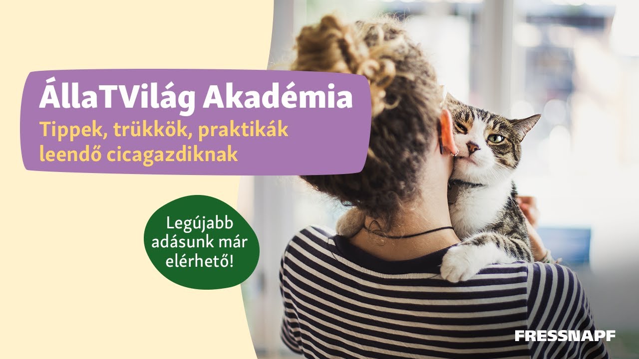 ÁllaTVilág Akadémia - Tippek, trükkök, praktikák leendő cicagazdiknak