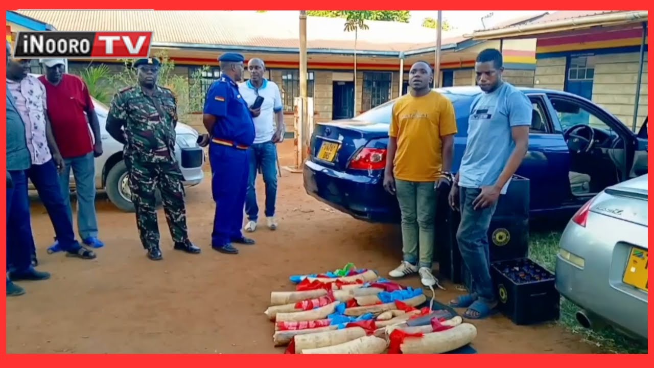 Ekũĩrwo 2 nĩ maikĩtio ngono marĩ na mĩguongo 20 ya njogu mwena wa Namanga