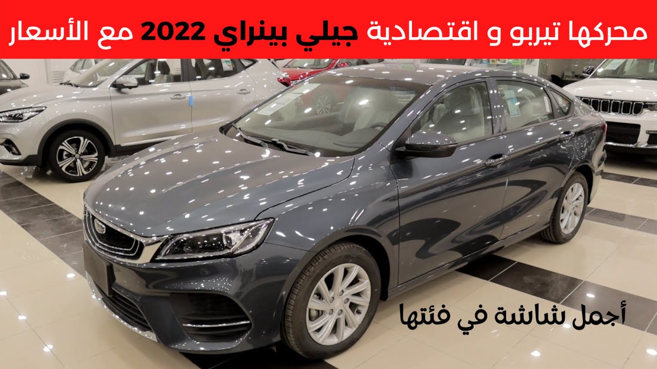 جيلي بينراي 2022 Geely Binray