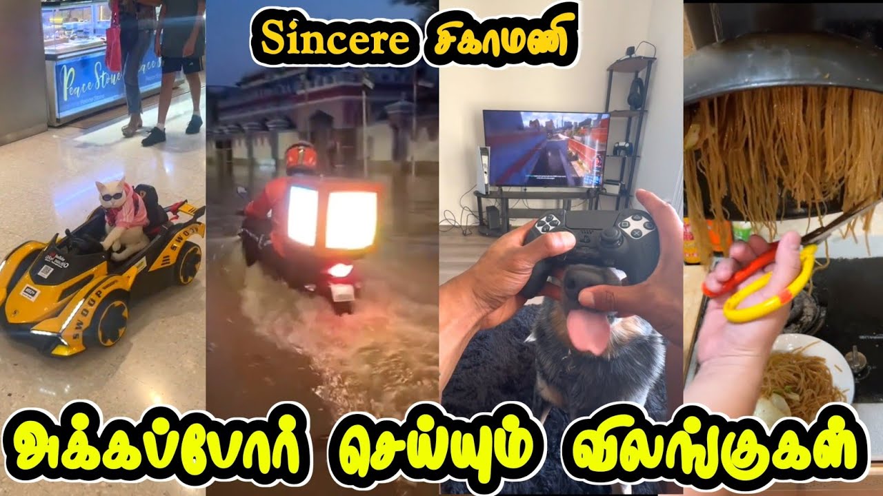 வெள்ளத்திலும் Food delivery | Funny video | Twisty story | Hoomans