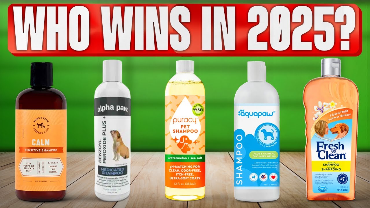 TOP 5 Best Dog Shampoos 2025