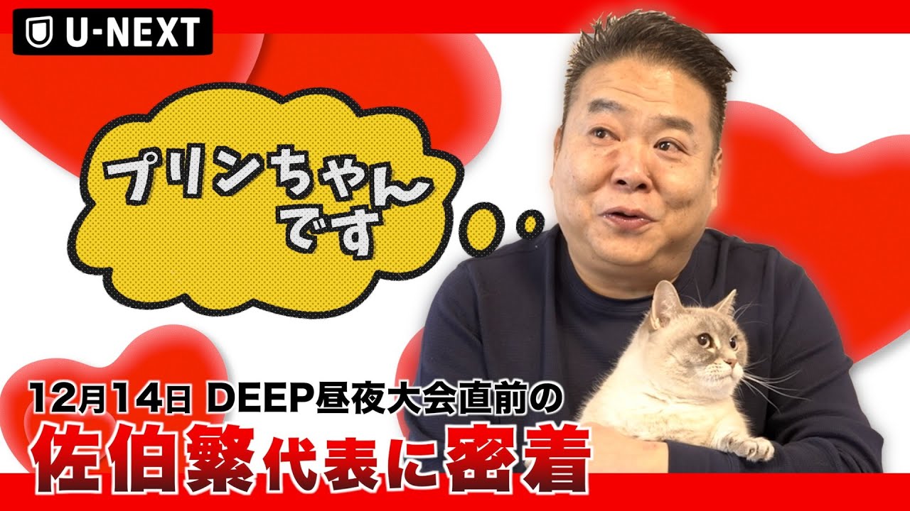 12/14（日）DEEP昼夜大会直前の佐伯繁代表に密着！ー日本格闘技界の重鎮は何を語るのかー