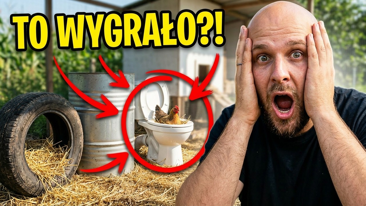 3 Gniazda Za Darmo... A Kury Wybrały TO!