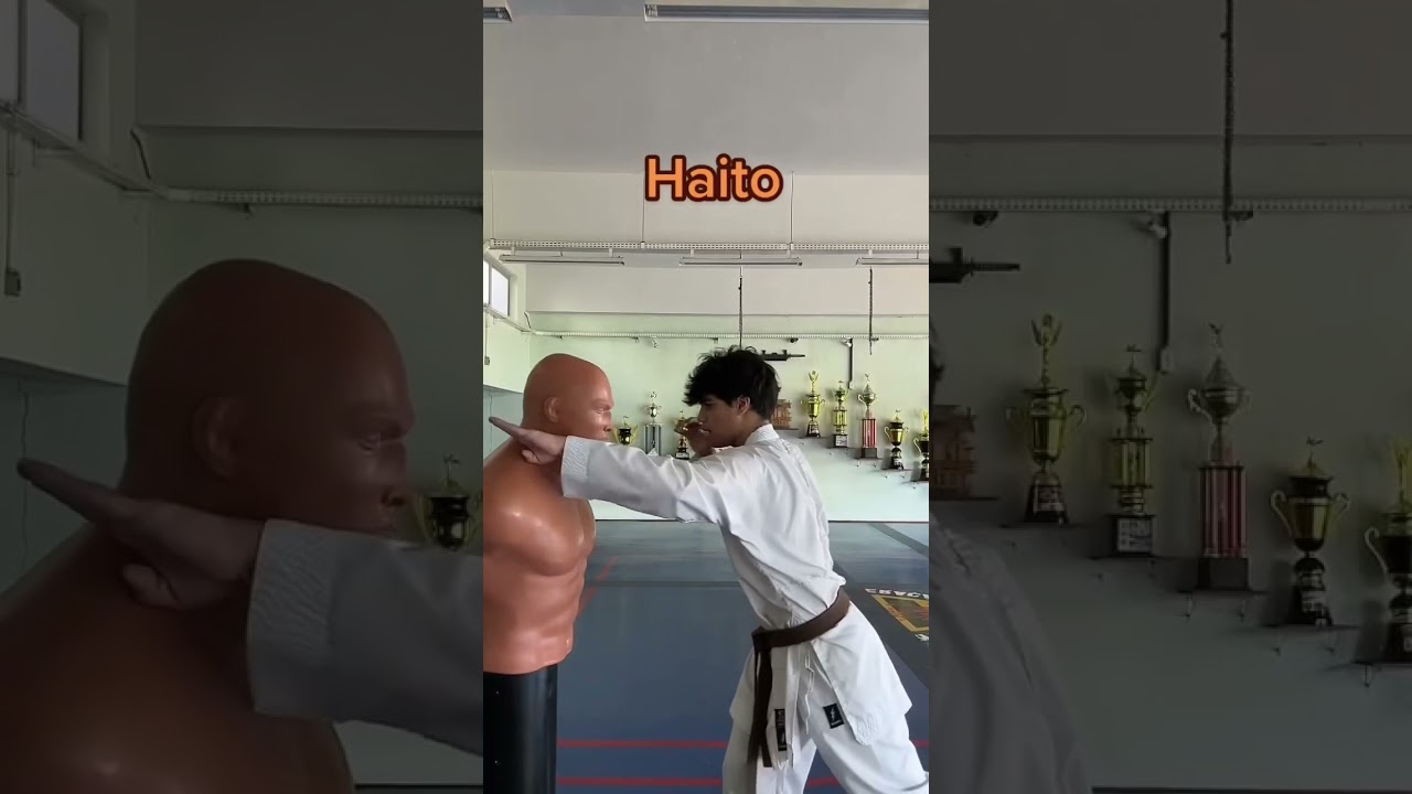 proibido pelo perigo de les&otilde;es🥋🔥      #karate #mma #boxing #taekwondo