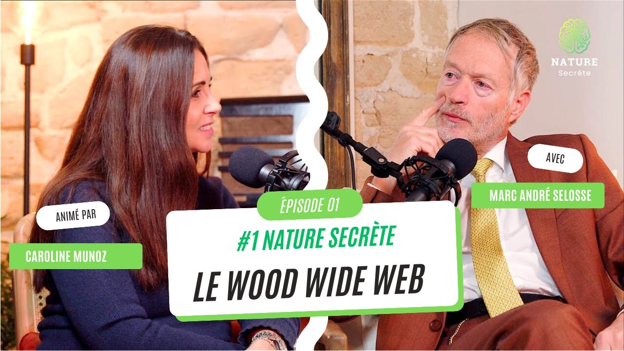 #1 NATURE SECRÈTE / Le WOOD WIDE WEB / Marc André Selosse