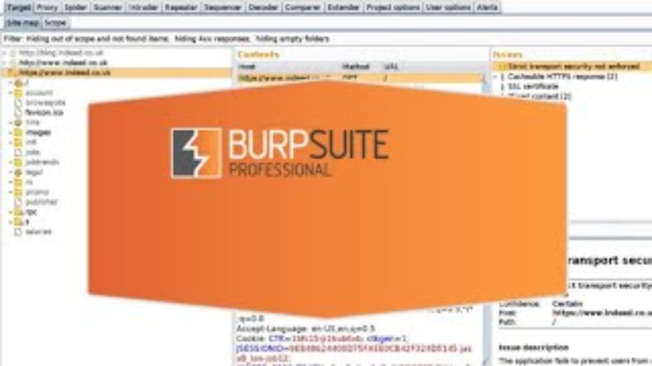 Burp Suite: The  best tool for web application security testing || bug bounty || POC | infosec