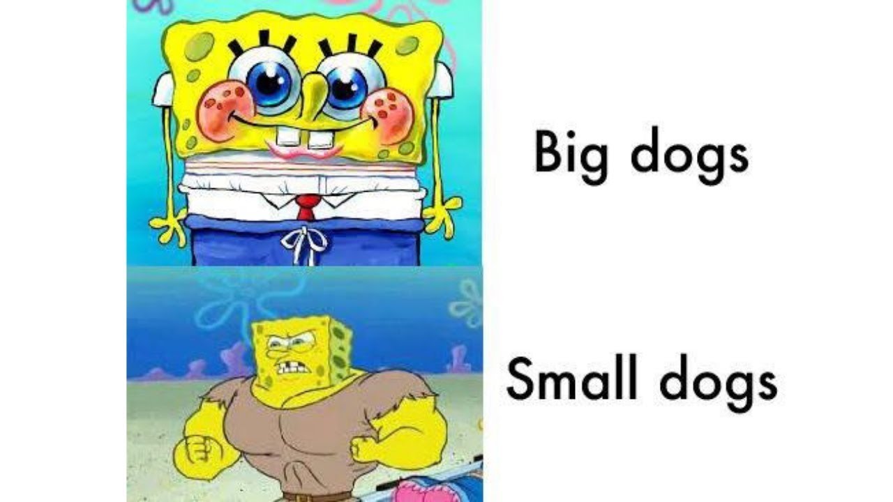 Spicy memes 199