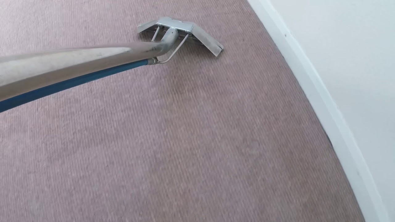 Carpet cleaning step by step with Ashbys Ninja
