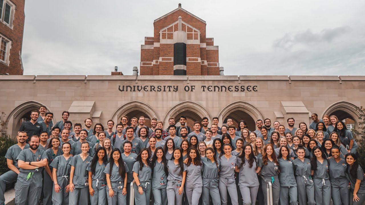How To Choose the Dental School That Is RIGHT FOR YOU