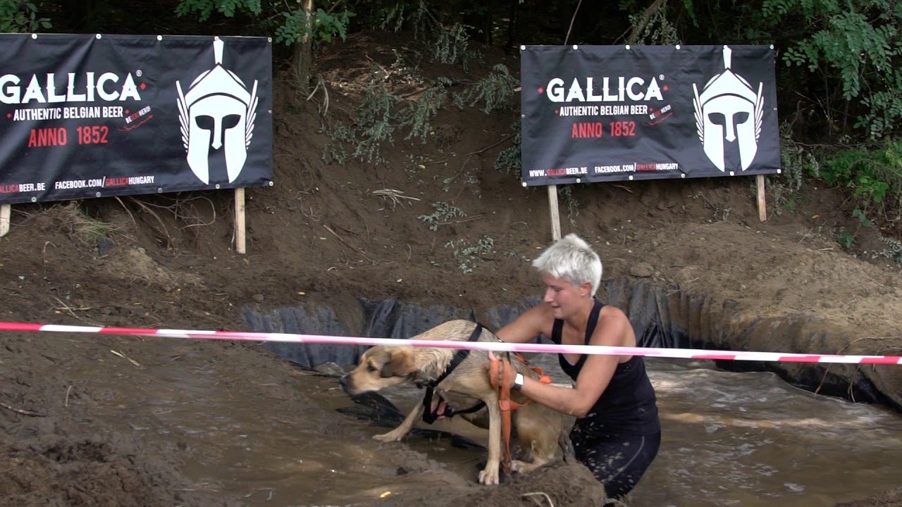 Gallica - Hard Dog Race Wild 2017.09.02. Piliscsév - official HDR after video
