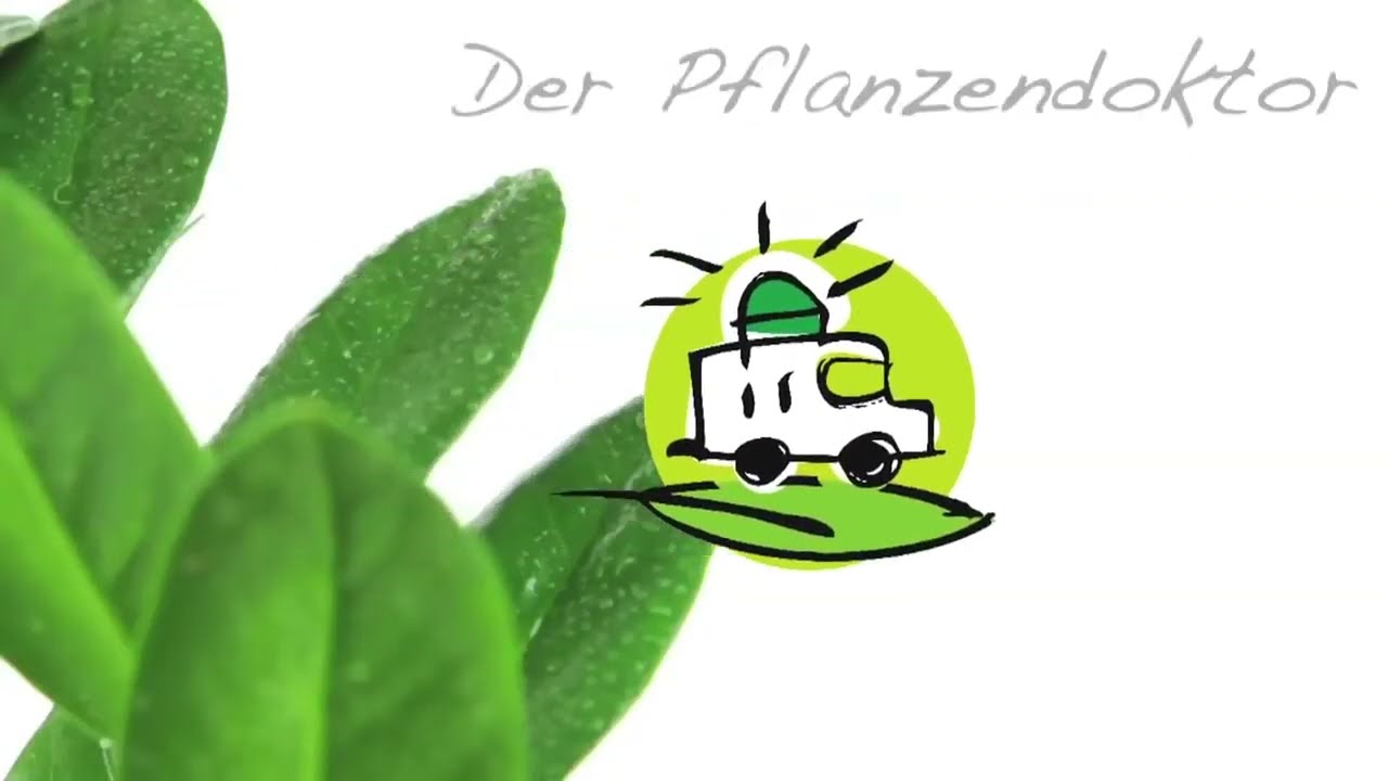 Der Pflanzendoktor, Dr. H. Zulauf - Thema Ameisen