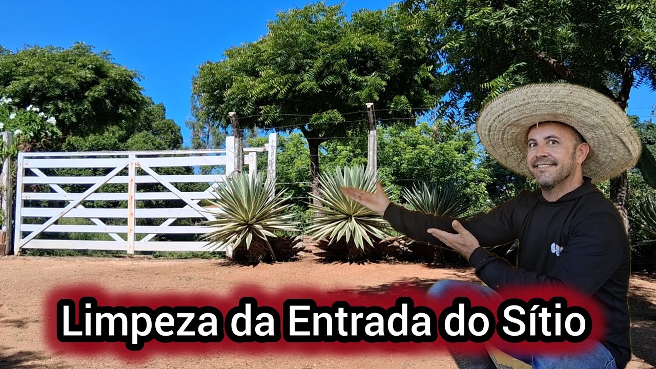 MAIS UM DIA DE TRABALHO DURO ! 