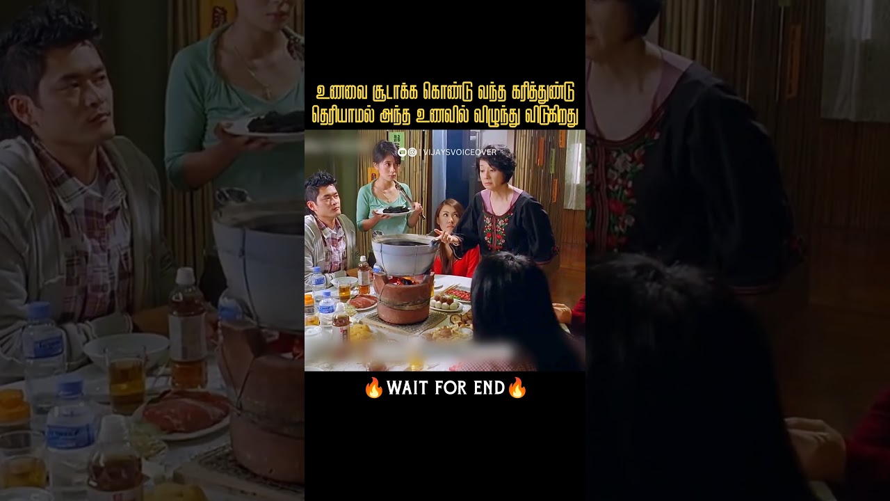 தவறி விழுந்த கரித்துண்டு உணவாக மாறியது  |Vijay's Voice over|Movies explained in tamil